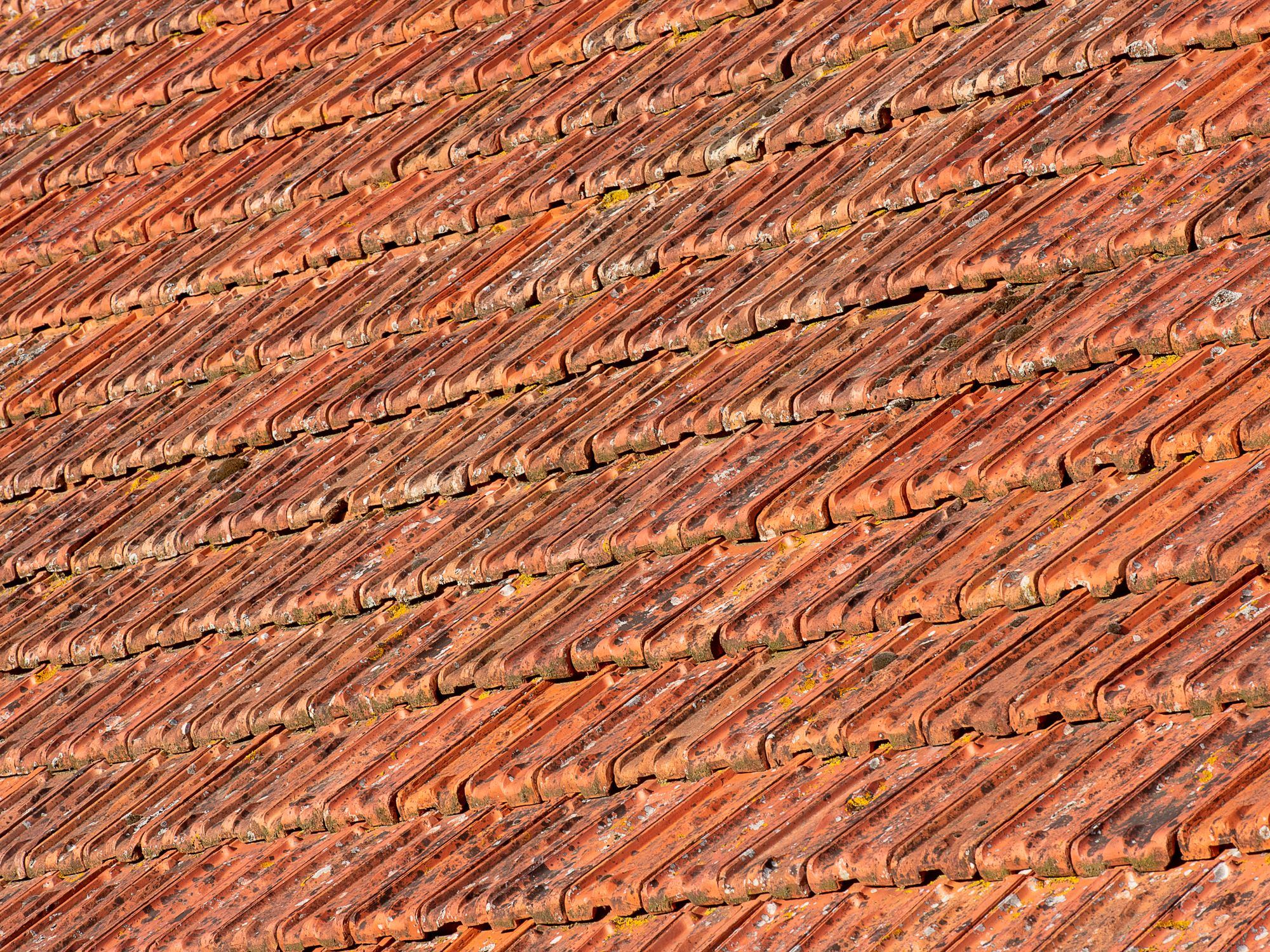 Close-up of terracotta roof tiles in sunlight.